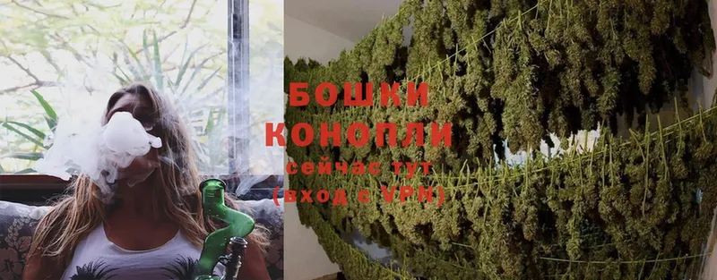 kraken   Стрежевой  МАРИХУАНА Ganja 